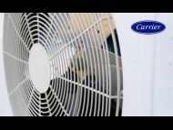 صيانة كاريير الخط الساخن - مركز خدمة عملاء كاريير - صيانة تكييف كاريير - ميراكو كاريير مصر - كاريير للتكييف السعودية - اسعار تكييف كاريير مصر - توكيل كاريير فى مصر - رقم مبيعات كاريير -اسعار تكييف كاريير مصر - كاريير الخط الساخن - رقم خدمة عملاء كاريير - توكيل كاريير فى مصر - وظائف شركة ميراكو كاريير - اسعار تكييف ميراكو كاريير 2016 - رقم كاريير المختصر - تليفون كاريير مصر -ميراكو كاريير مصر - خدمة عملاء كاريير - رقم مبيعات كاريير - توكيل كاريير فى مصر - رقم كاريير المختصر - صيانه كاريير - كاريير للتكييف ال